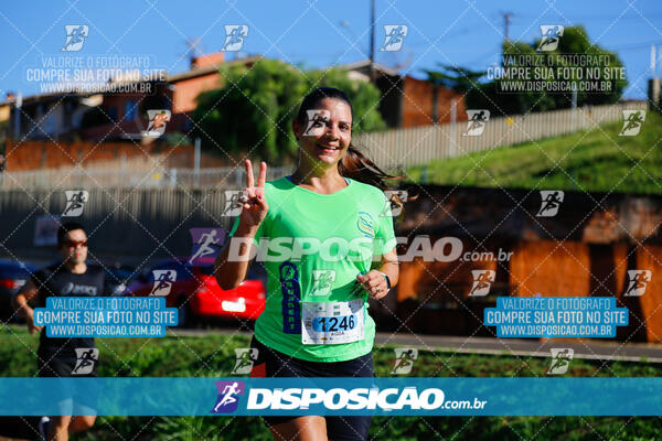 Vale Verde Run 2024