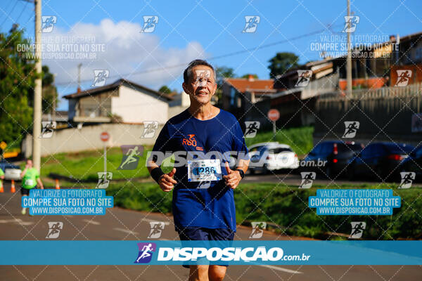 Vale Verde Run 2024