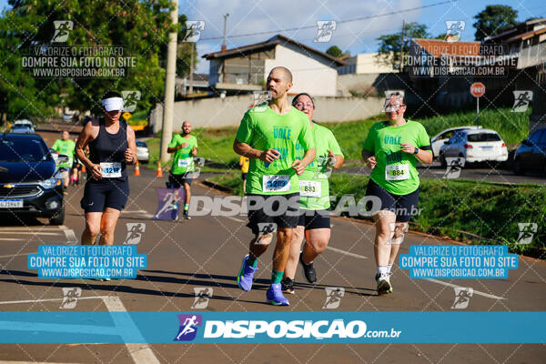 Vale Verde Run 2024