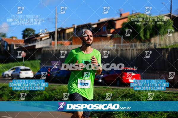 Vale Verde Run 2024