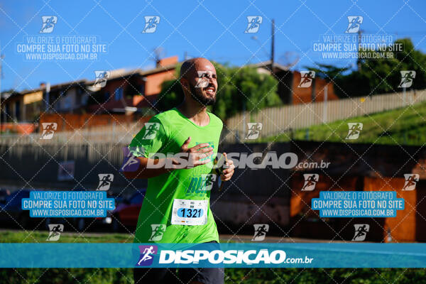 Vale Verde Run 2024