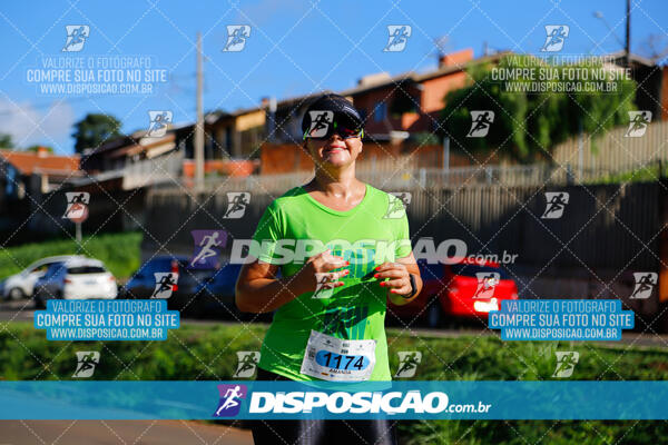 Vale Verde Run 2024