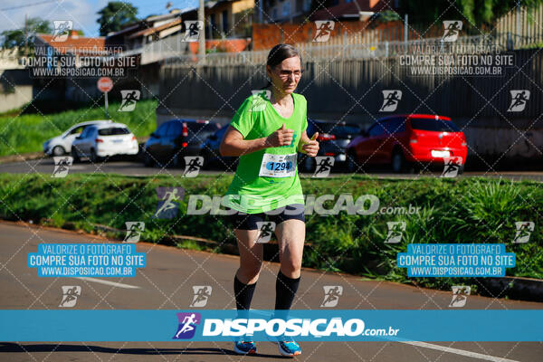 Vale Verde Run 2024