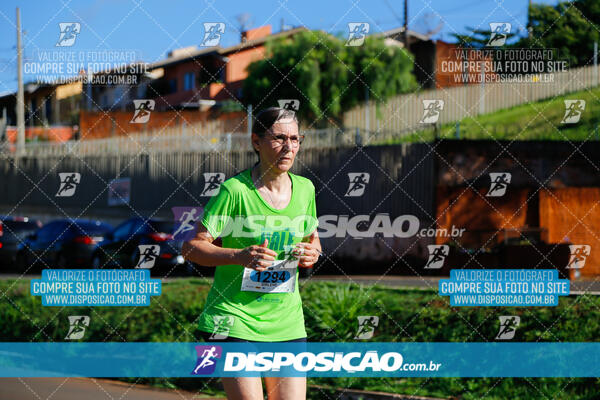 Vale Verde Run 2024