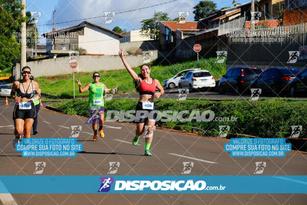 Vale Verde Run 2024