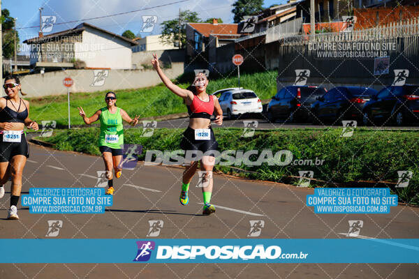 Vale Verde Run 2024