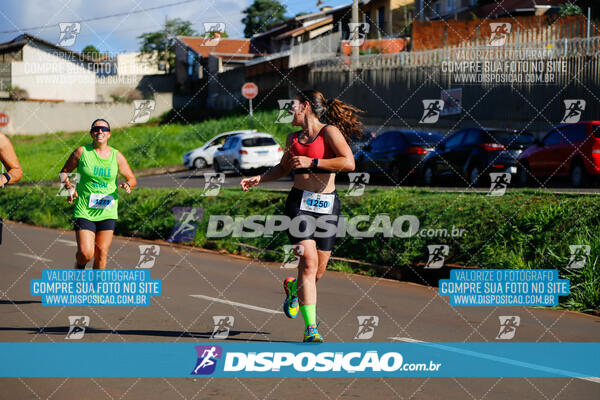 Vale Verde Run 2024