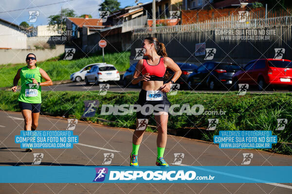 Vale Verde Run 2024