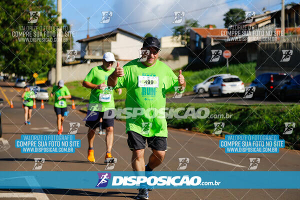 Vale Verde Run 2024