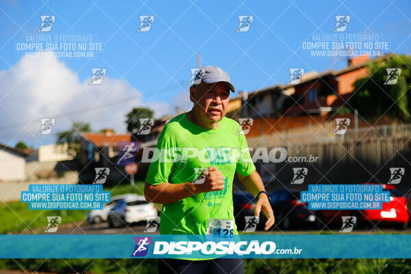 Vale Verde Run 2024