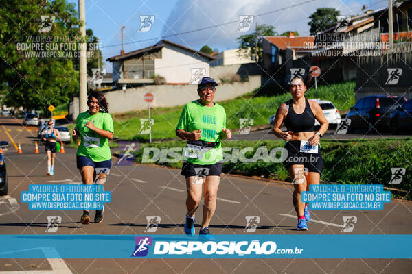 Vale Verde Run 2024