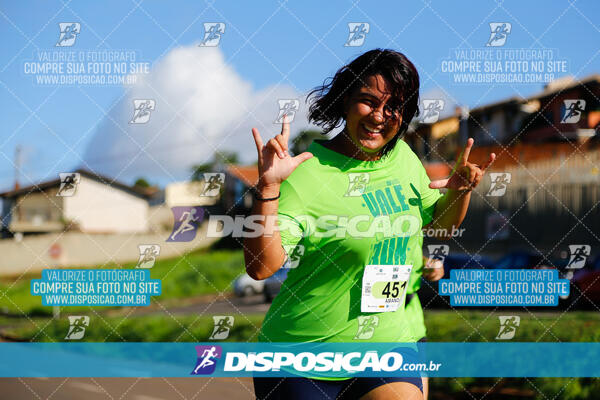 Vale Verde Run 2024