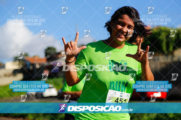 Vale Verde Run 2024