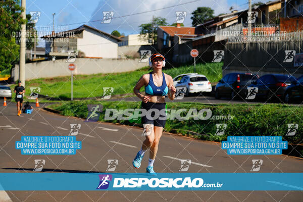 Vale Verde Run 2024