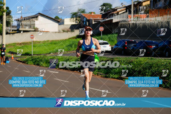 Vale Verde Run 2024