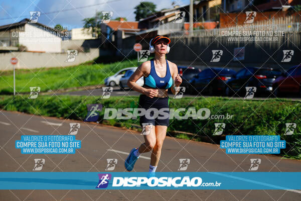 Vale Verde Run 2024