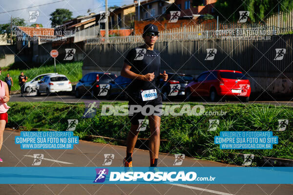 Vale Verde Run 2024