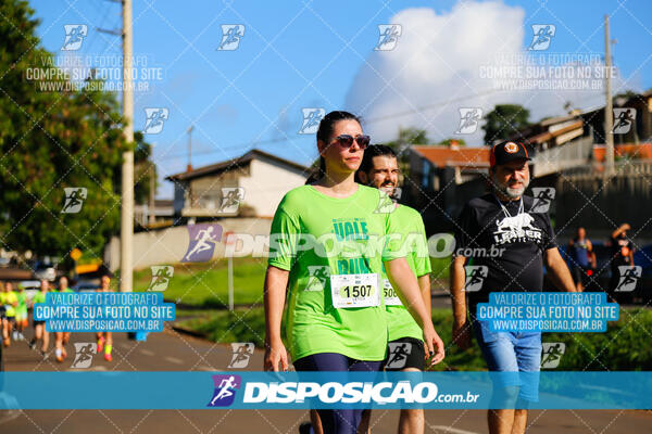 Vale Verde Run 2024