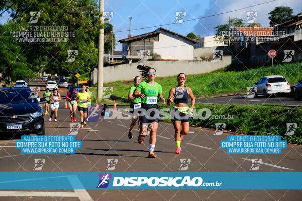 Vale Verde Run 2024