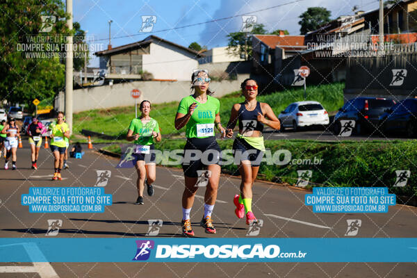 Vale Verde Run 2024