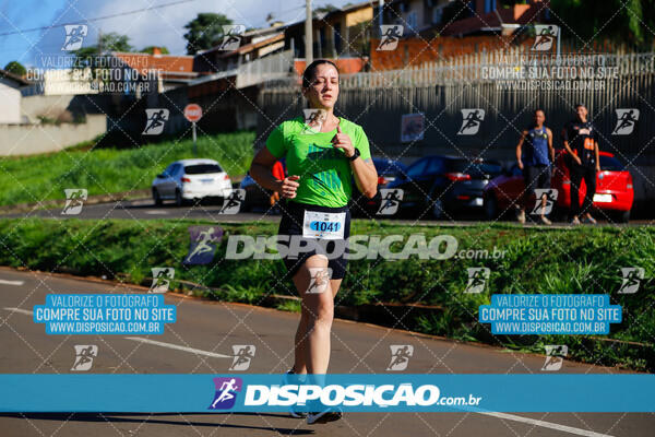 Vale Verde Run 2024