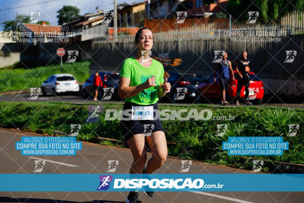 Vale Verde Run 2024