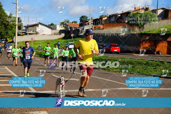 Vale Verde Run 2024