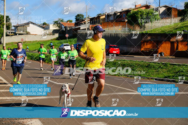 Vale Verde Run 2024