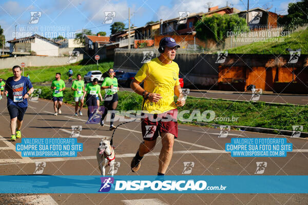 Vale Verde Run 2024