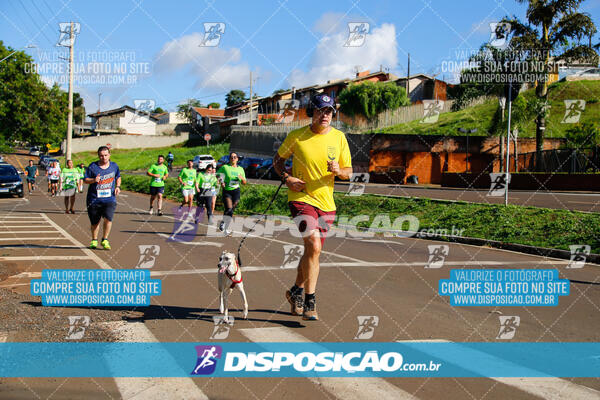 Vale Verde Run 2024