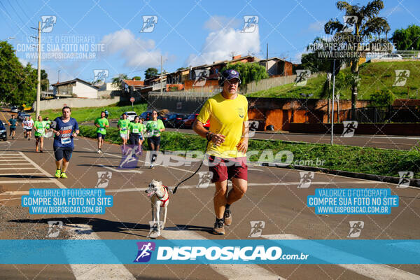 Vale Verde Run 2024