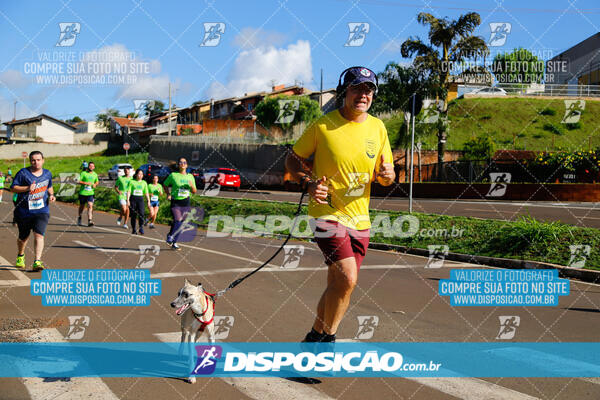 Vale Verde Run 2024