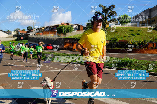 Vale Verde Run 2024