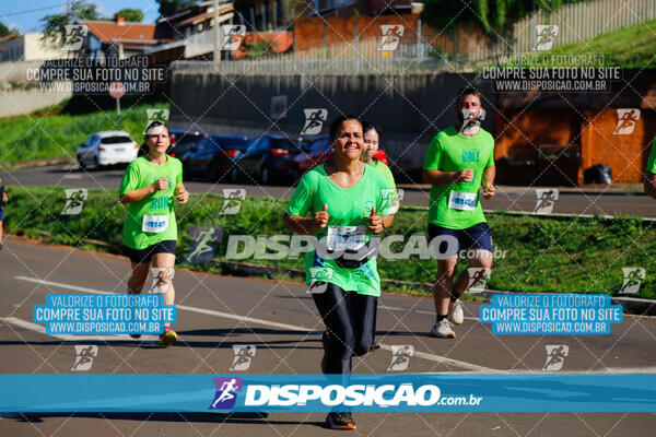 Vale Verde Run 2024