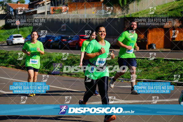 Vale Verde Run 2024