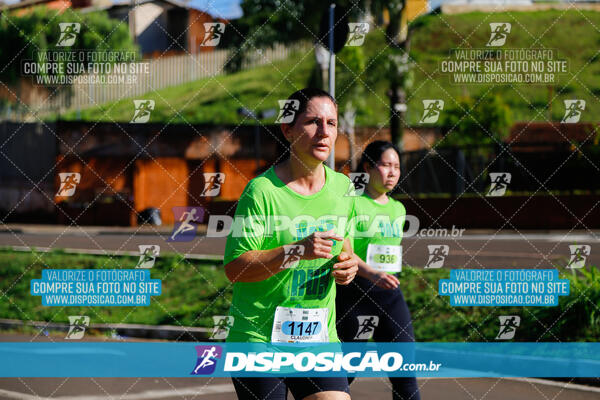 Vale Verde Run 2024