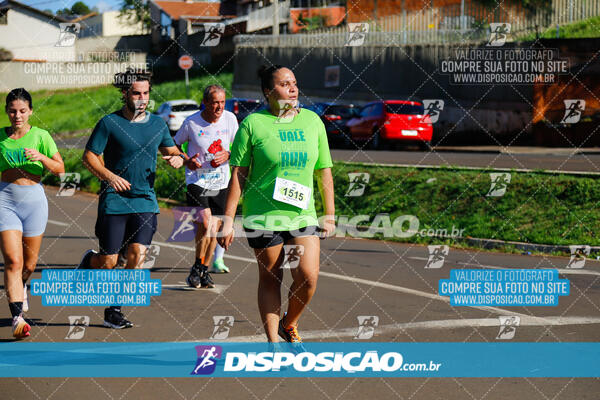 Vale Verde Run 2024