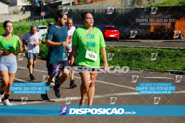 Vale Verde Run 2024