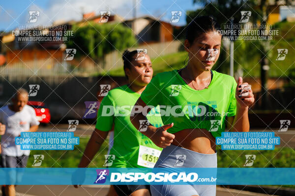 Vale Verde Run 2024