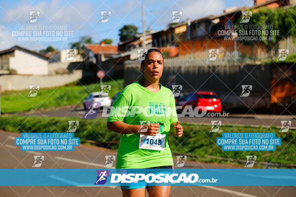 Vale Verde Run 2024