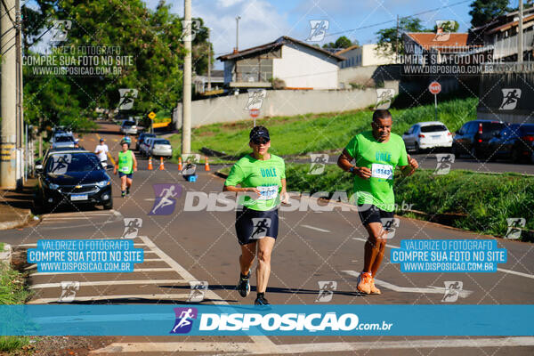 Vale Verde Run 2024