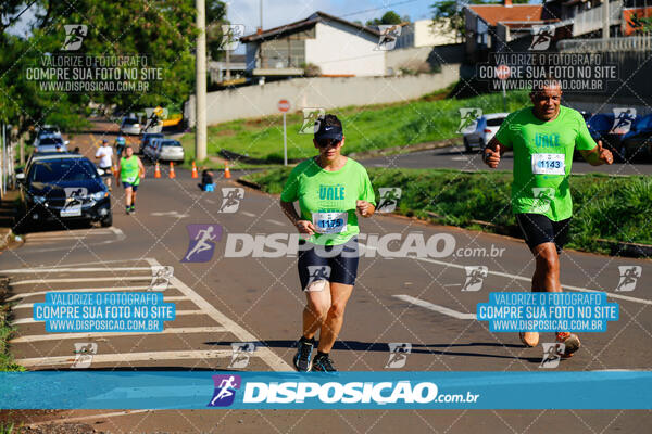 Vale Verde Run 2024