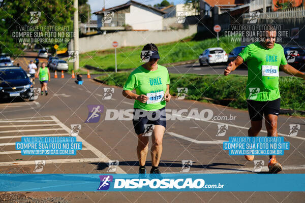 Vale Verde Run 2024