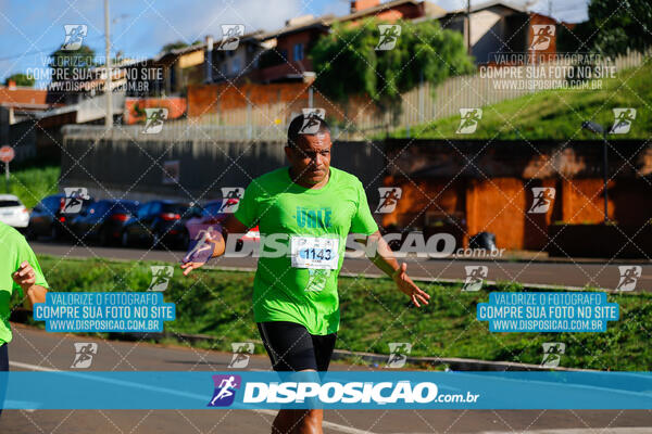 Vale Verde Run 2024