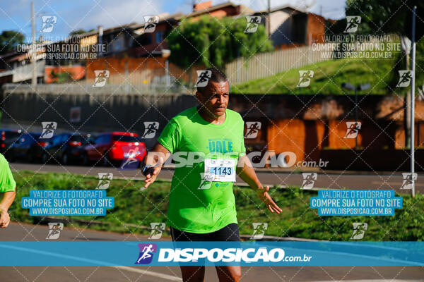 Vale Verde Run 2024