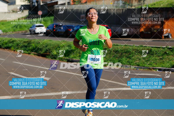 Vale Verde Run 2024