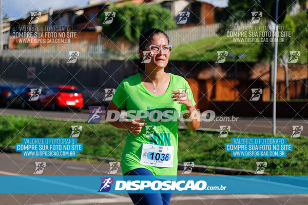 Vale Verde Run 2024