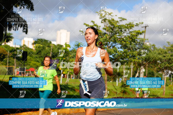 Vale Verde Run 2024