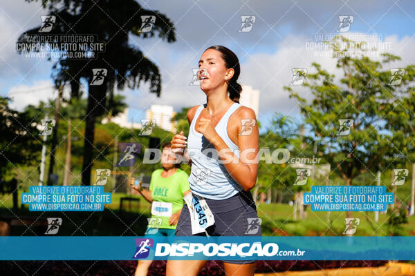 Vale Verde Run 2024