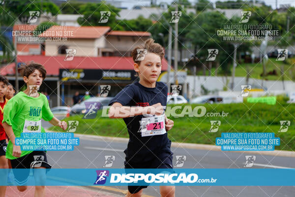 Vale Verde Run 2024